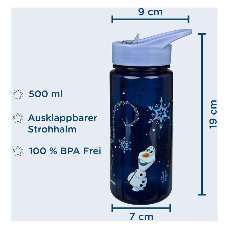 Load image into Gallery viewer, Disney aero drinkfles frozen - 500ml