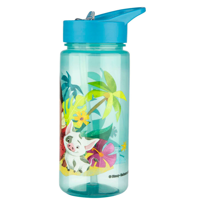 Load image into Gallery viewer, Undercover aero drinkfles vaiana - 500ml