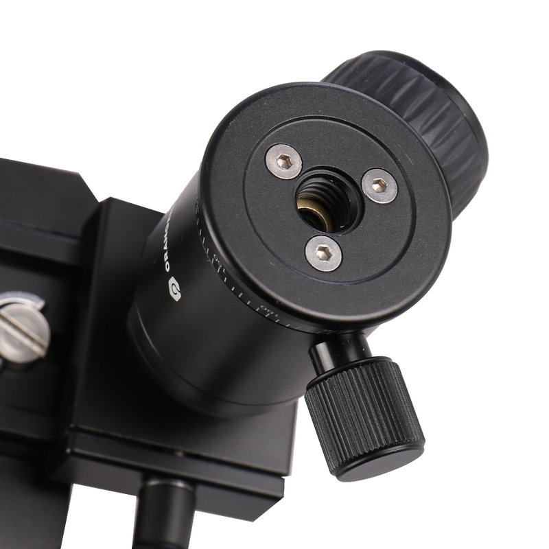 Load image into Gallery viewer, Orangemonkie