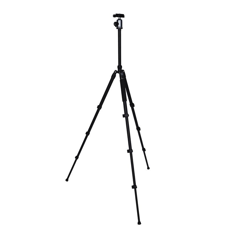 Load image into Gallery viewer, Nest statief wf-6627 + balhoofd