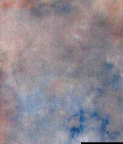 Chargez l'image dans la visionneuse de la galerie, Falcon eyes achtergronddoek s122 2,9x7 m