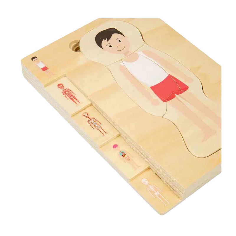 Afbeelding laden in galerijviewer, Bigjigs houten anatomiepuzzel - jongen, 26st.