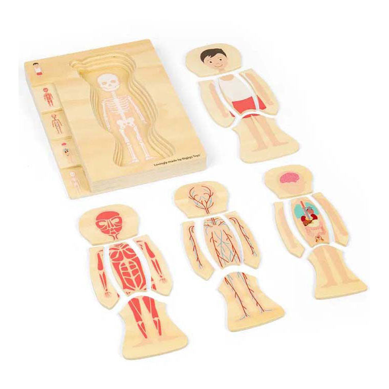 Afbeelding laden in galerijviewer, Bigjigs houten anatomiepuzzel - jongen, 26st.