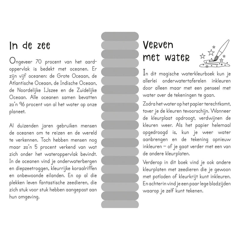 Cargue la imagen en el visor de la galería, Magisch waterkleurboek In de zee