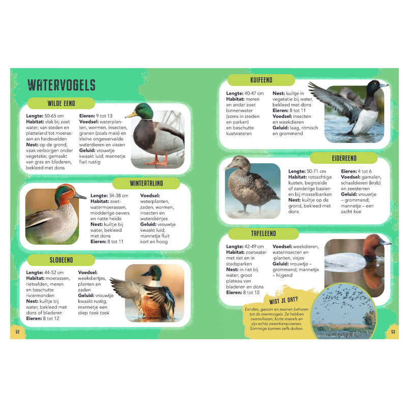 Afbeelding laden in galerijviewer, Rebo publishers vogels - gids en natuurdagboek voor kinderen