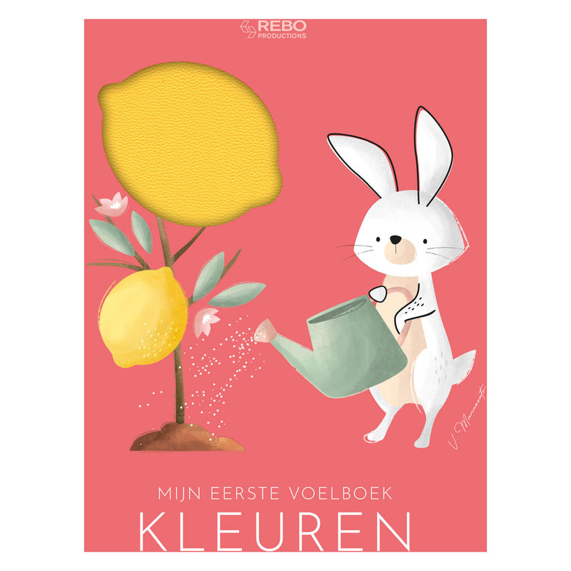 Load image into Gallery viewer, Rebo publishers kleuren - eerste voelboek