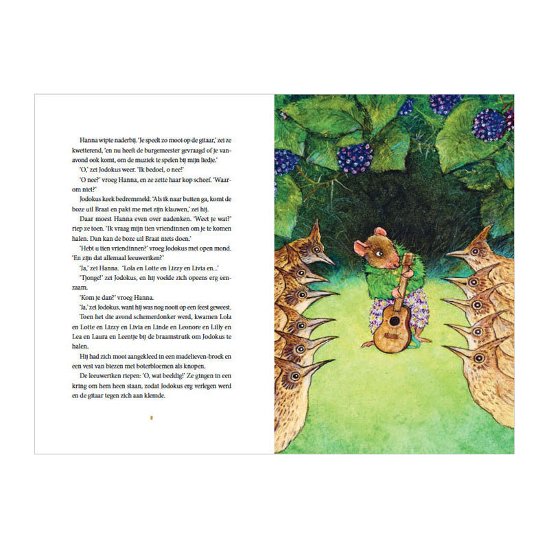 Chargez l'image dans la visionneuse de la galerie, Gottmer uitgevers groep de gouden gitaar