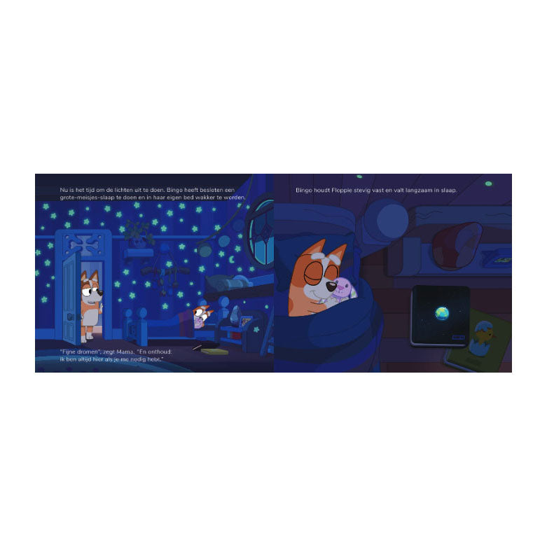 ギャラリービューアに画像をロードする, Gottmer uitgevers groep bluey slapenstijd