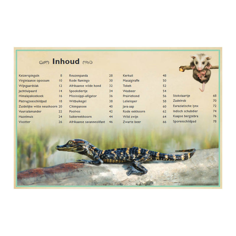 ギャラリービューアに画像をロードする, Gottmer uitgevers groep het allermooiste boek over babydieren