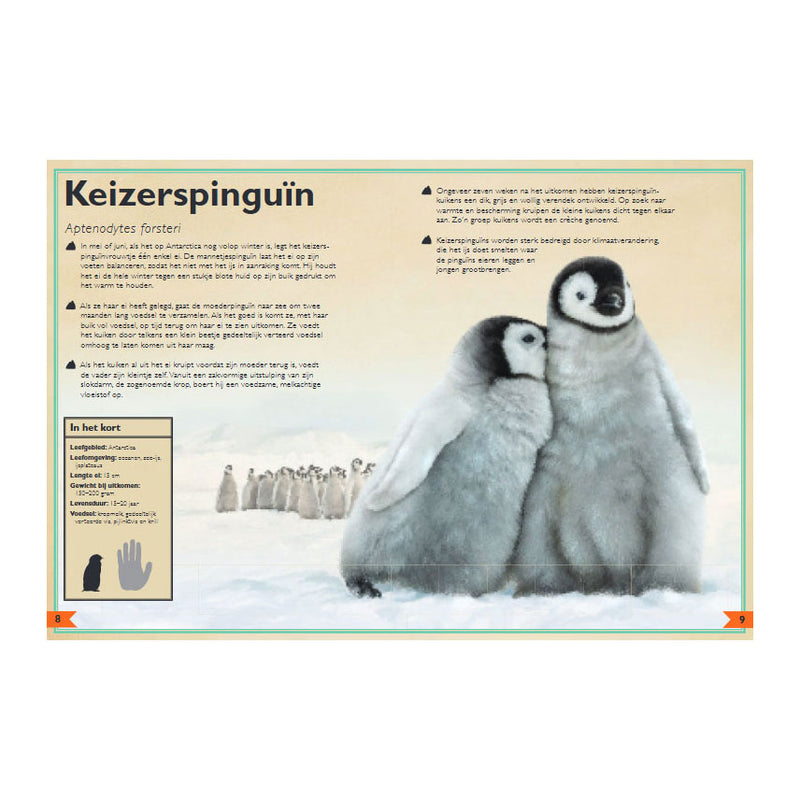 ギャラリービューアに画像をロードする, Gottmer uitgevers groep het allermooiste boek over babydieren