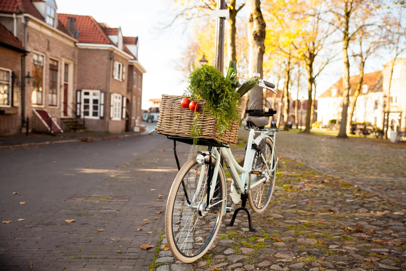 Afbeelding laden in galerijviewer, Voordrager Steco Transport 26 28 - 30 x 30 cm - wit