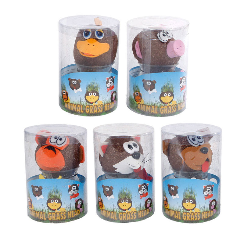 Load image into Gallery viewer, Toys amsterdam grasvriendjes dieren verzorgen