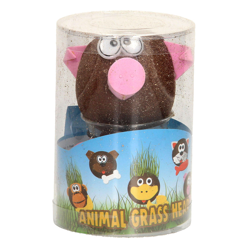 Afbeelding laden in galerijviewer, Toys amsterdam grasvriendjes varken junior 12,5 cm vilt bruin