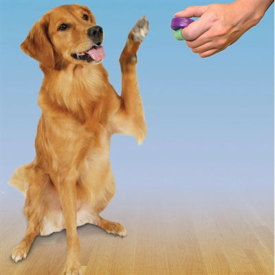 Load image into Gallery viewer, Clik-r petsafe clicker voor training