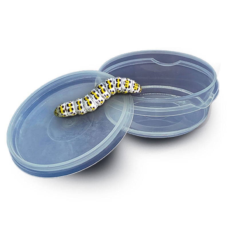 Load image into Gallery viewer, Ses explore - insecten explorer