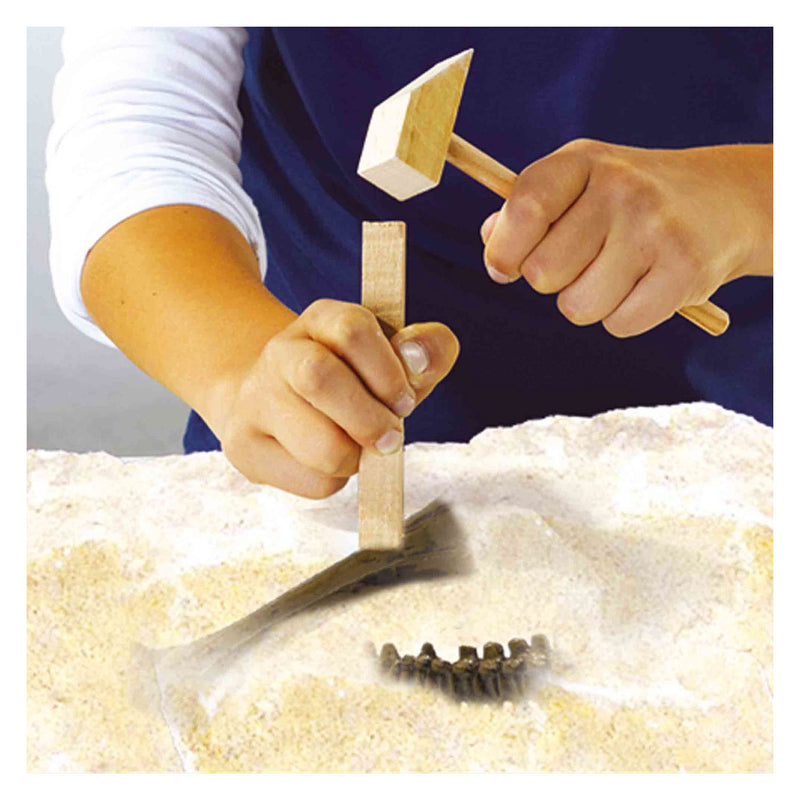 Load image into Gallery viewer, Ses explore dino en skelet opgraven 2in1 - triceratops