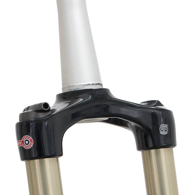 Load image into Gallery viewer, SrSuntour Suntour raidon voorvork xc 29 rlr tapered 100mm zwart