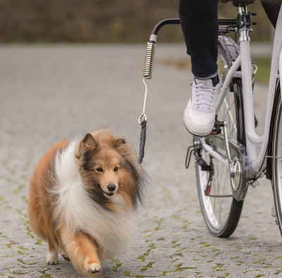 Load image into Gallery viewer, Trixie bikerset fietsbeugel springer