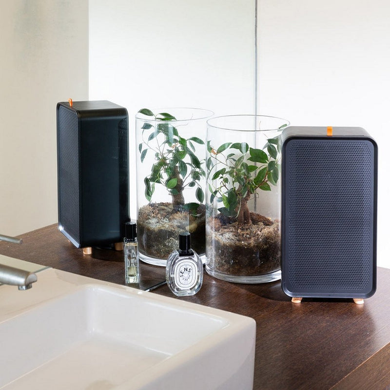 Load image into Gallery viewer, Air me orain black luchtontvochtiger zwart
