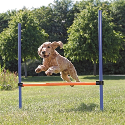 Load image into Gallery viewer, Trixie dog activity agility horde blauw oranje