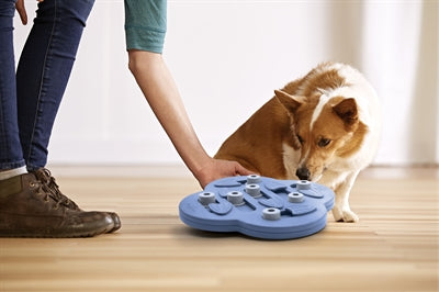 Load image into Gallery viewer, Nina ottosson Dog hide n slide composiet
