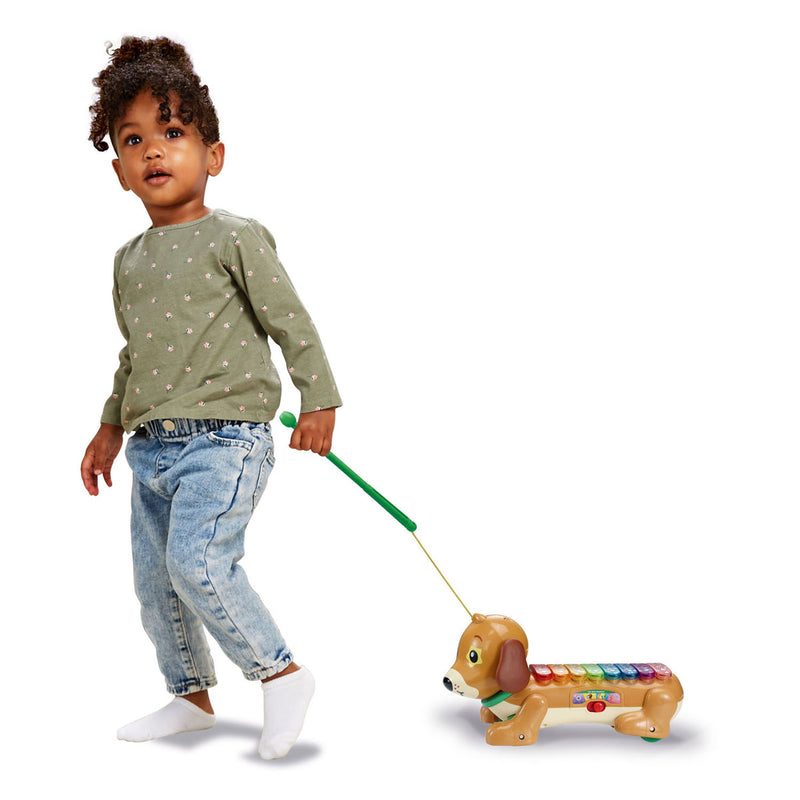 Afbeelding laden in galerijviewer, Vtech timmie teckel xylofoon