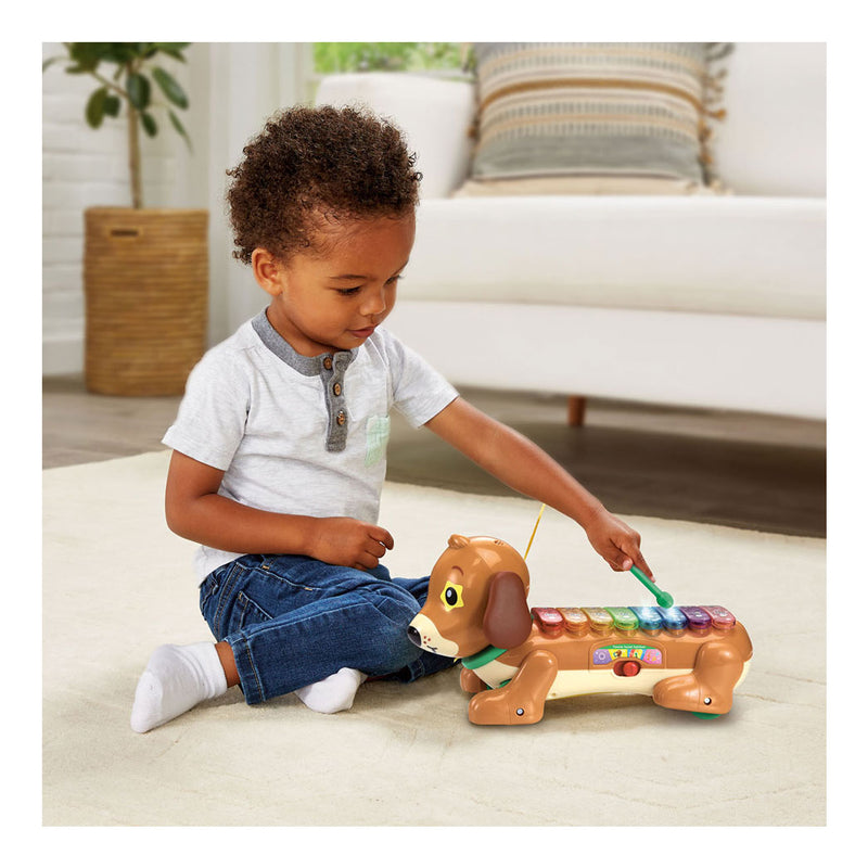 ギャラリービューアに画像をロードする, Vtech timmie teckel xylofoon