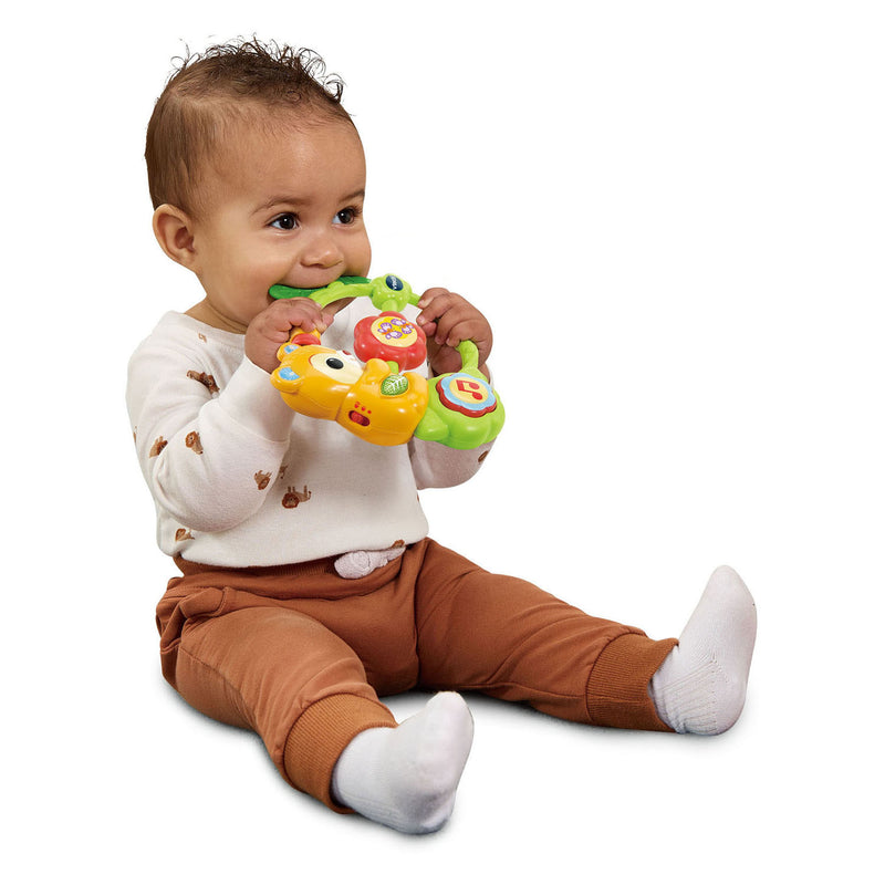 ギャラリービューアに画像をロードする, Vtech baby lichtgevende rammelaar met liedjes