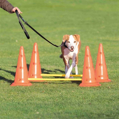 Afbeelding laden in galerijviewer, Trixie dog activity hordenset