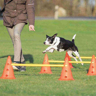 Load image into Gallery viewer, Trixie Dog activity hordenset