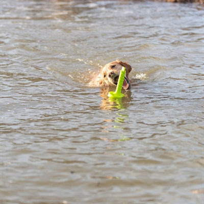 ギャラリービューアに画像をロードする, Trixie dog activity mot-aqua apporteer dobber limegroen