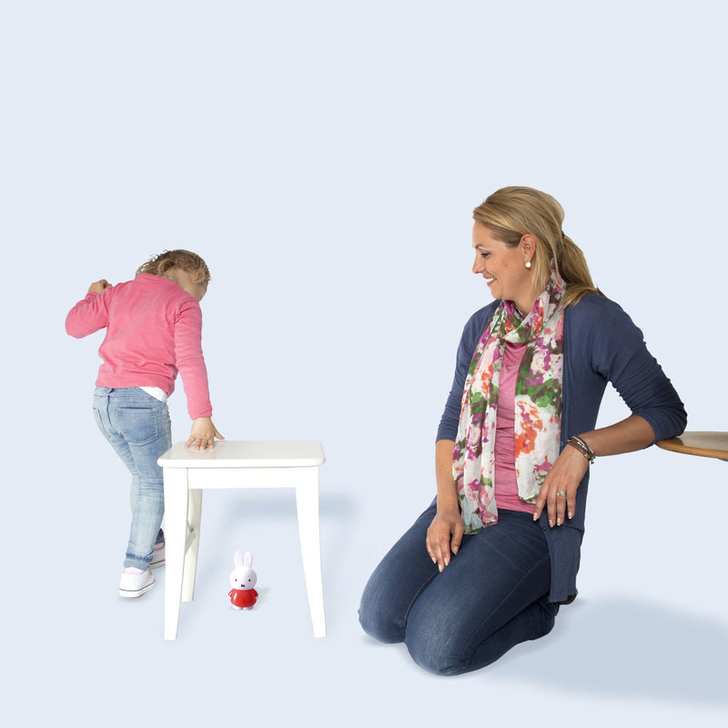 Load image into Gallery viewer, Identity games nijntje verstoppertje spelen