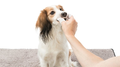 Load image into Gallery viewer, Trixie Dentalcare vingerpads