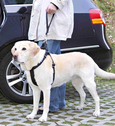 Load image into Gallery viewer, Trixie autogordel korthouder universeel zwart