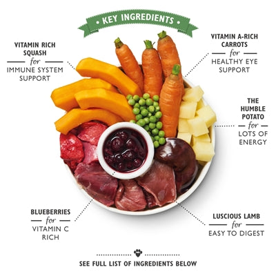 Load image into Gallery viewer, Lily's kitchen Dog lamb hotpot
