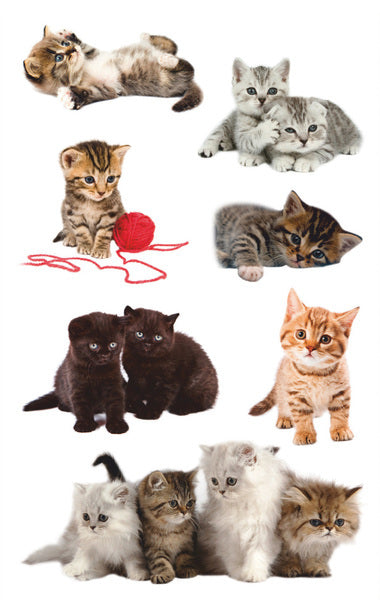 Load image into Gallery viewer, Avery av-55971 papieretiket z-design kids pakje a 3 vel katten foto