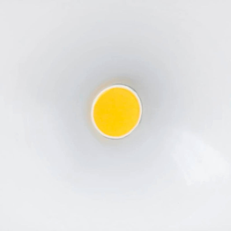 Load image into Gallery viewer, Steinel Steinel Sensor spotlight voor buiten LS 150 LED wit 052553