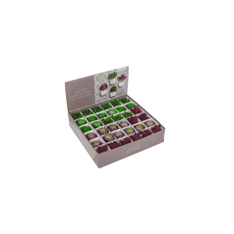 Load image into Gallery viewer, Ootb magneet vetplant in pot 3x5cm