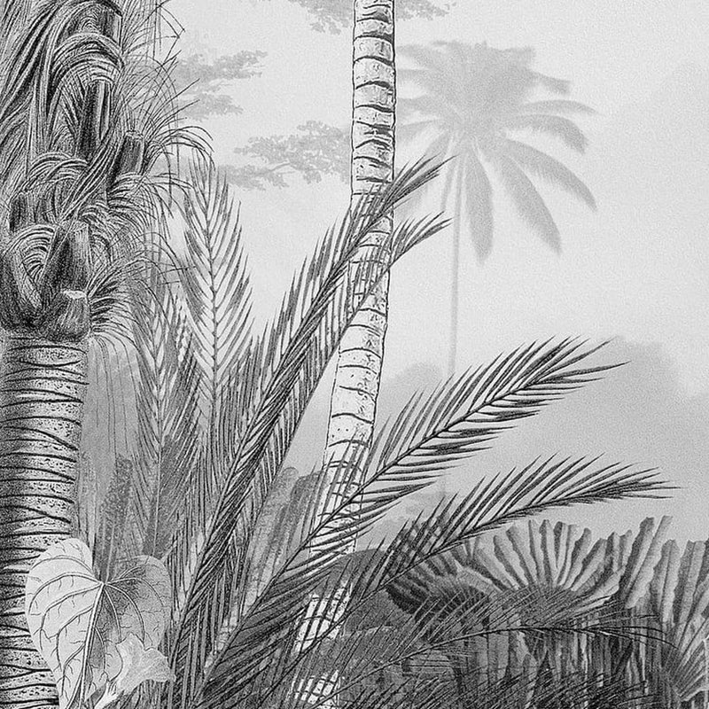 Load image into Gallery viewer, Komar fotobehang lac tropical black white 200x270 cm