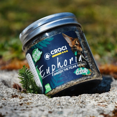 Load image into Gallery viewer, Croci euphoria catnip pot