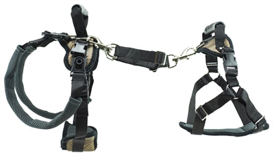 Load image into Gallery viewer, Petsafe carelift voor en achter