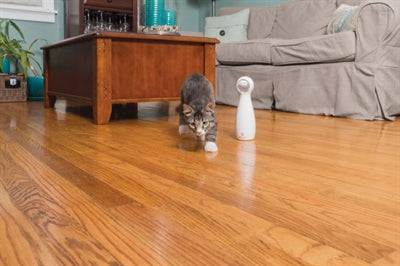 Load image into Gallery viewer, Petsafe bolt