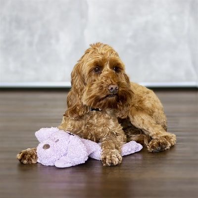 Load image into Gallery viewer, Aromadog calm laying down dog