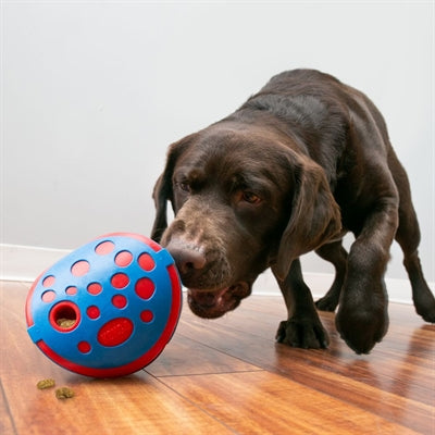 Load image into Gallery viewer, Kong Rewards wally blauw rood