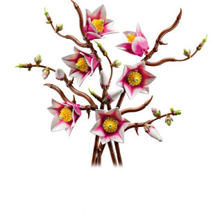 Afbeelding laden in galerijviewer, Lego botanicals magnoliatakken - 11510