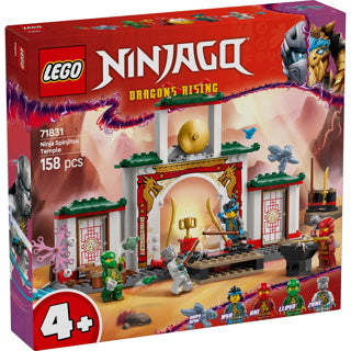 Afbeelding laden in galerijviewer, Lego ninjago 71831 spinjitzu ninjatempel