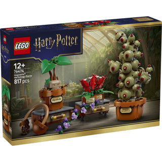 Chargez l'image dans la visionneuse de la galerie, Lego harry potter zweinstein kruidenkunde planten bouwbaar speelgoed voor kinderen 76474