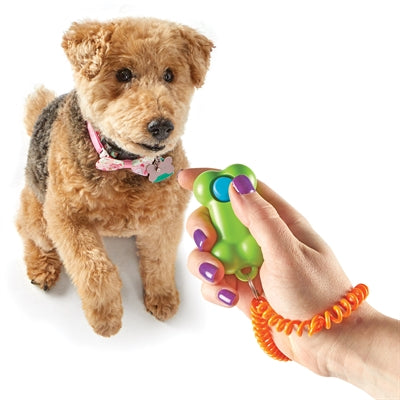 Load image into Gallery viewer, Brightkins Smarty pooch training clicker bone