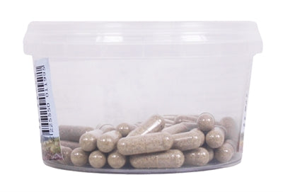 Load image into Gallery viewer, Dierendrogist Echinacea bio capsules