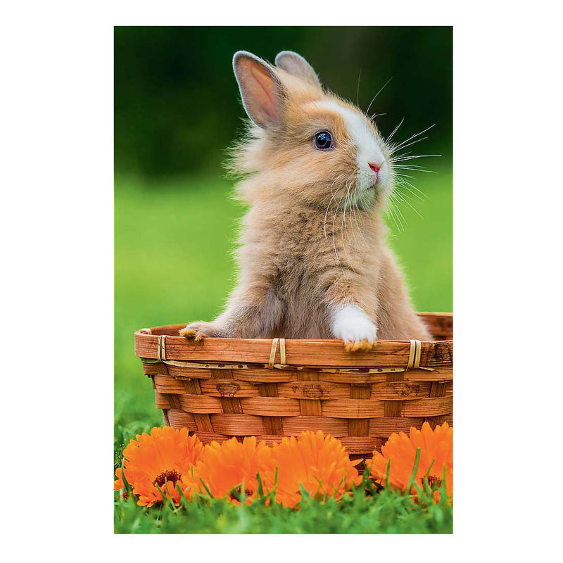 Laden Sie das Bild in Galerie -Viewer, Mini puzzel lovely animals - 54st.